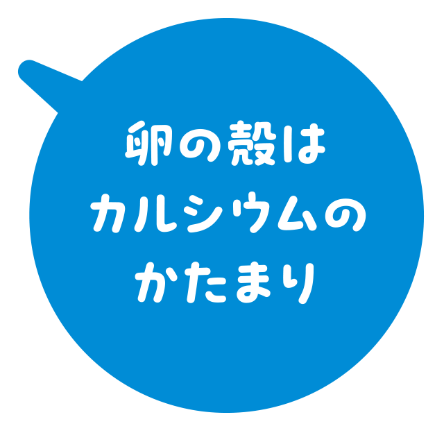 卵の殻はカルシウムのかたまり